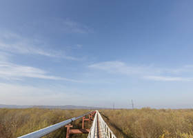 “Укртранснафта” посилює контроль: білоруси виявили неякісну нафту з Росії
