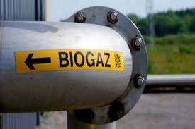 Біоенергетичні проєкти зможуть замістити близько третини газових потреб України
