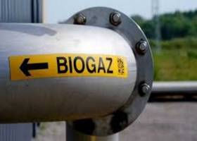 Біоенергетичні проєкти зможуть замістити близько третини газових потреб України
