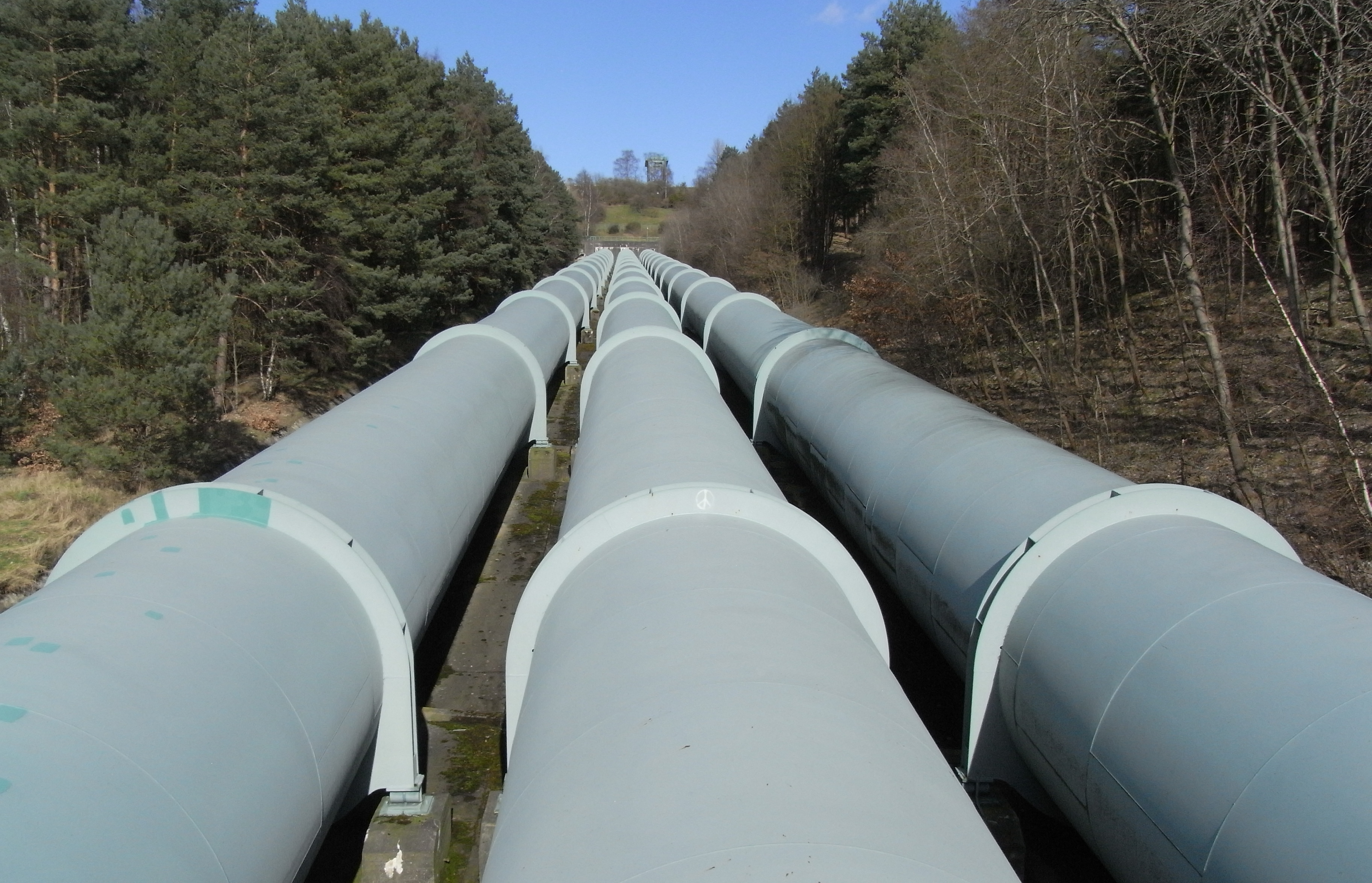 Макогон: Україна в Європі закупила дешевий газ (оновлено)