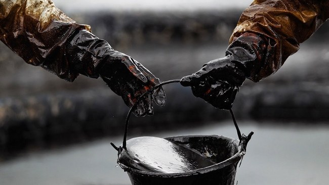 Для створення запасів нафти потрібні й відповідні правила гри — Павленко