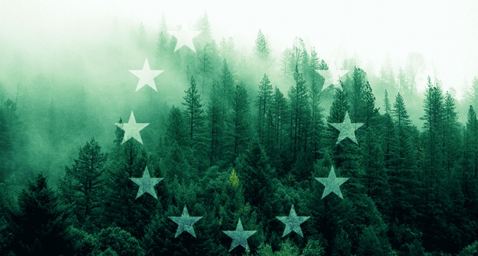 ЄС встановить вуглецевий кордон від неекологічних виробників