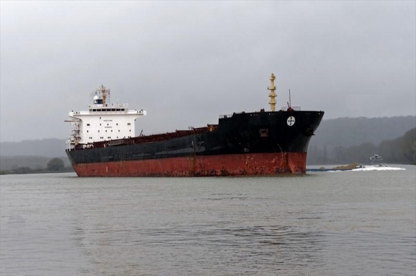 Десяте судно ДТЕК з імпортним вугіллям прибуло в Україну
