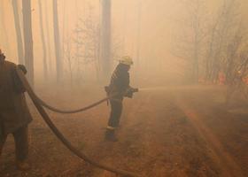 Найменше загоряння у чорнобильських лісах може перерости у катастрофу