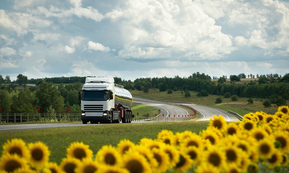 Кількість імпортерів ДП в Україну з початку червня зросла у півтора рази