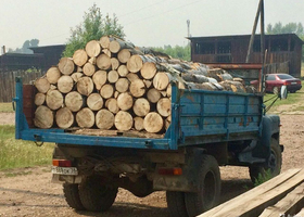 Сім прифронтових областей в Україні отримують безкоштовні дрова