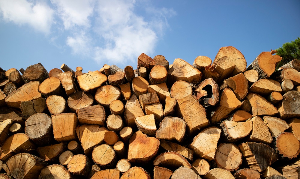 Міндовкілля оцінює запаси дров на складах України у 140 тис. куб. м