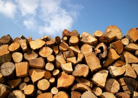 Міндовкілля оцінює запаси дров на складах України у 140 тис. куб. м