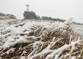 Синоптики прогнозують аномально теплу зиму