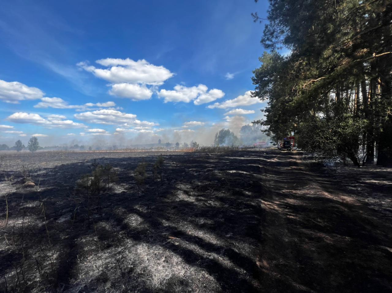 У Міндовкілля підрахували збитки екосистем від війни