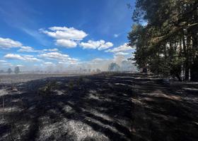 У Міндовкілля підрахували збитки екосистем від війни