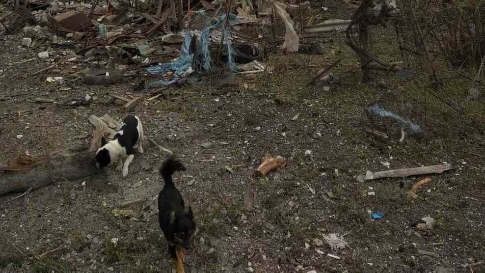 Що відомо про підрив дамби Курахівського водосховища - оновлено